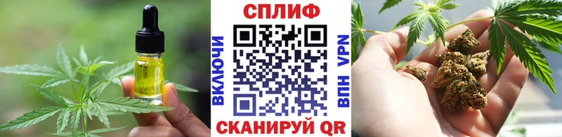 Cannafood конопля Кировград
