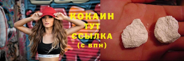 ECSTASY Богородицк
