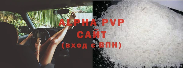 ECSTASY Богородицк