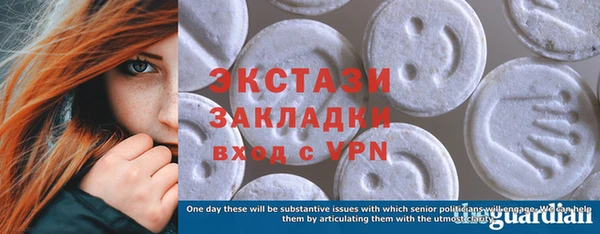 ECSTASY Богородицк