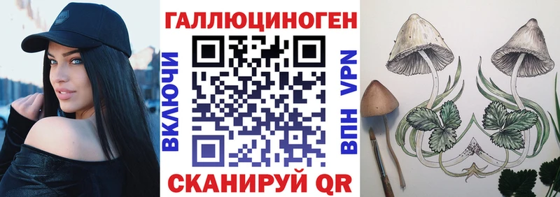 Галлюциногенные грибы Psilocybine cubensis Кировград